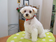 DSCF8136[1]_thumb.png